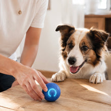 BuddyPlay™
