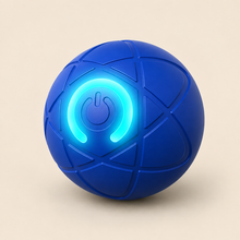 BuddyPlay™