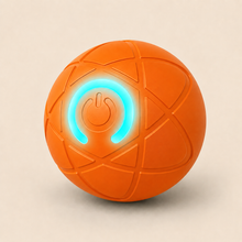 BuddyPlay™