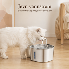 Vannfontene i rustfritt stål