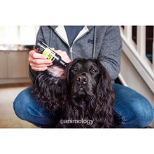 Animology ørerens for hund