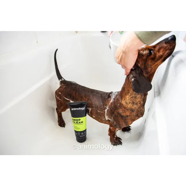 Animology Deep Clean hundesjampo