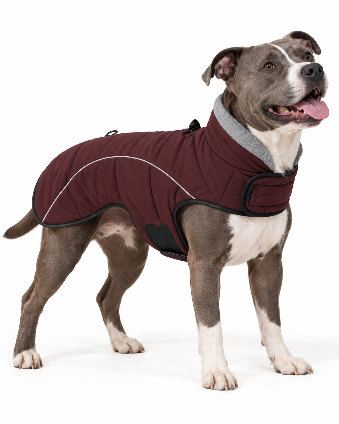 BuddyWear™ Expedition