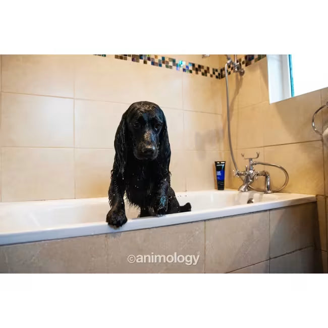 Animology Top Dog hundebalsam